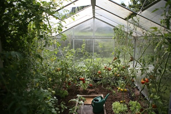 What Are the Best Ways to Incorporate Sustainable Rainwater Collection Systems for Home Gardens?