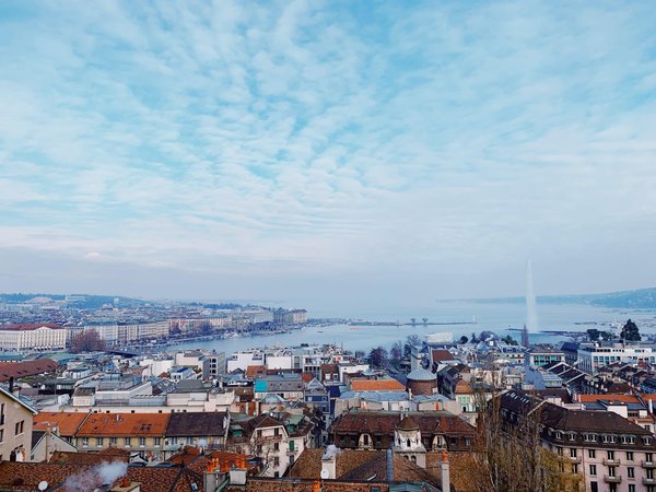 What are smart landscaping solutions for water conservation?