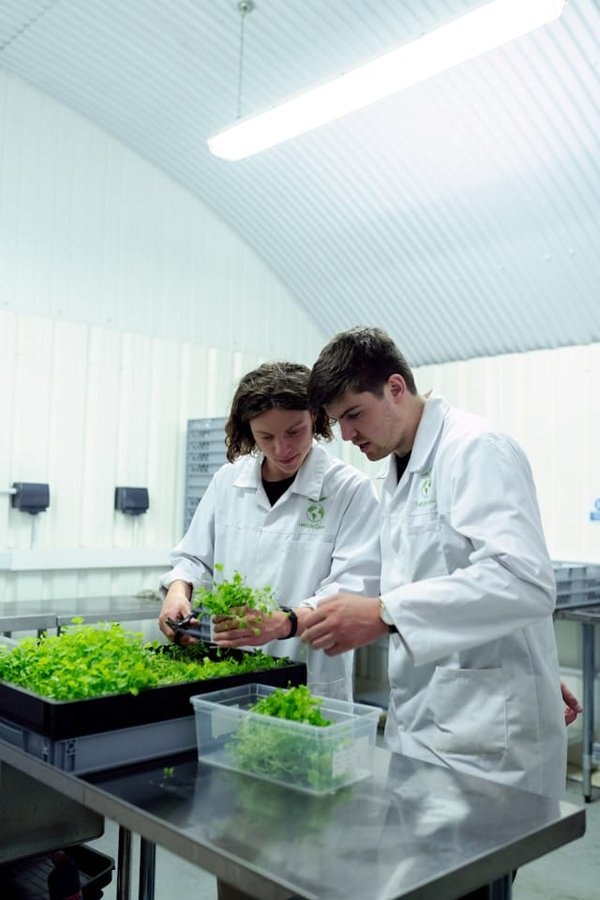 What's the Role of Tech in Food Sustainability?